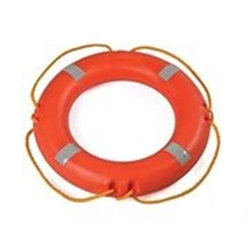 Lifebuoy (2,5 KGs)
